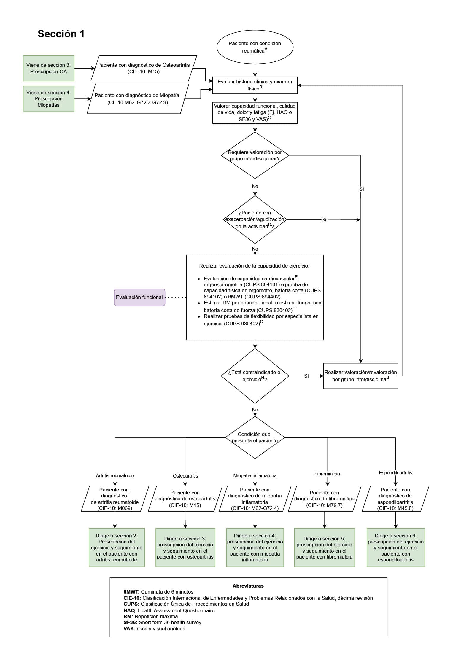 seccion 1 paciente con condición reumatica