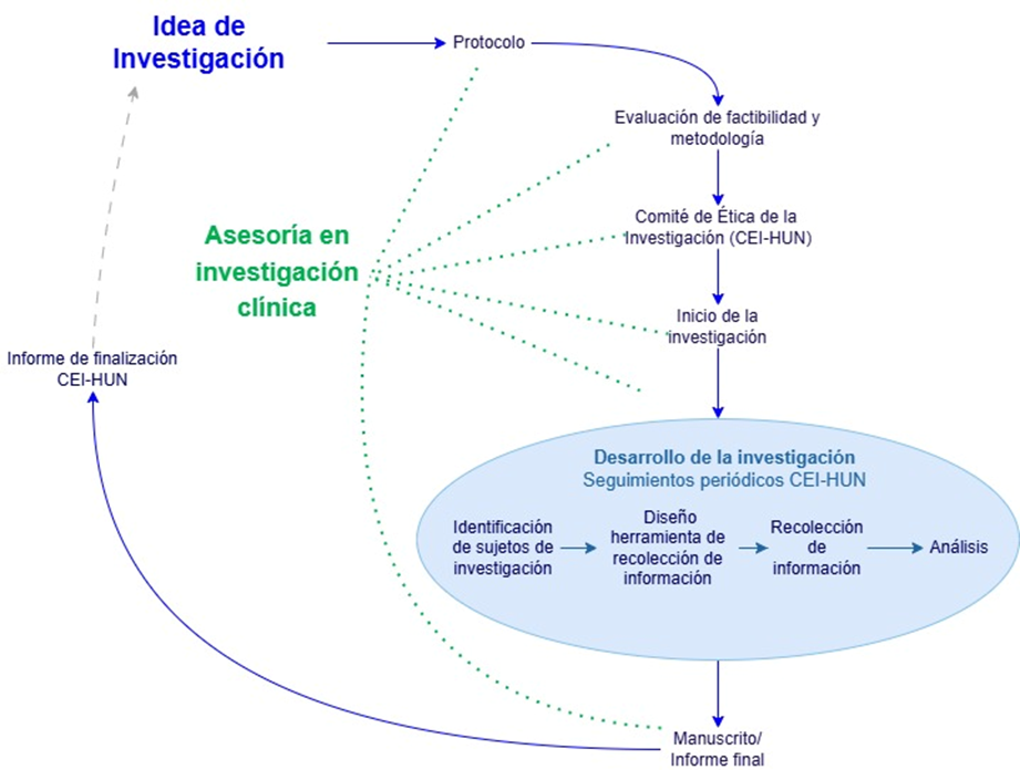 ciclo investigador